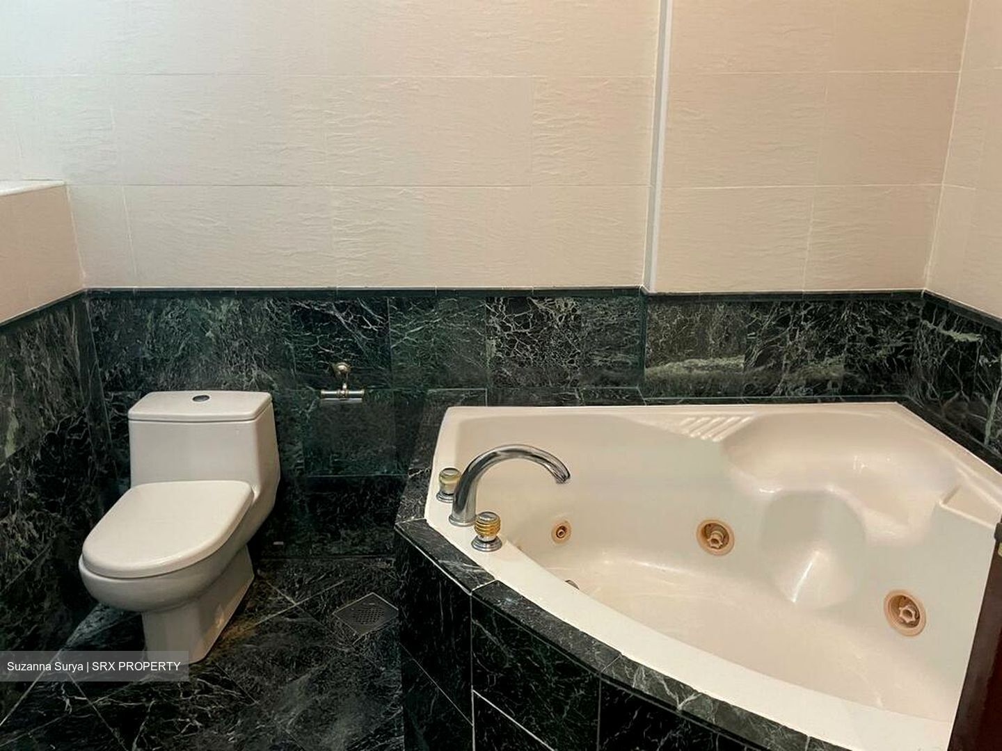 Fifth Avenue Condominium (D10), Condominium #478297881